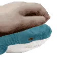 petBlahaj