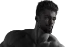 Giga_Griffin