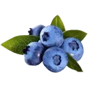 Blueberry blueberry Discord Emoji