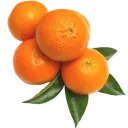 Orange orange Discord Emoji