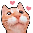 Inlove500x500