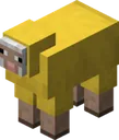 Yellow_Sheep
