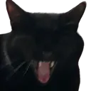 Kekw