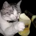 Cat Drink catdrink Discord Emoji