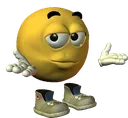 IN_shrug