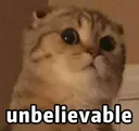 :UnbelievableCat: