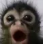risardo_pog risardo_pog