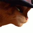whatwasthatpussinboots whatwasthatpussinboots