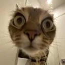 mewhenistareatyou