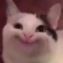 happiecat