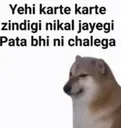 jindiginikaljayegi