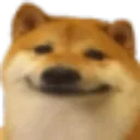 dogebruh Discord Emoji