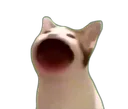 popcat Discord Emoji