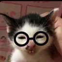 nerdcat nerdcat