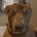UHHHHHHHHH