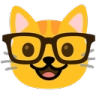 nerd_cat
