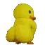 duckass