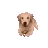 DoorBoss