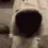 dogsniff dogsniff