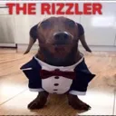 therizzler therizzler
