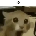 Catastrophe_shocked Catastrophe_shocked