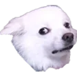 jacksfilmsWtf