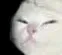squint