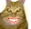 catDanilaHappy