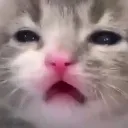 oohnoo