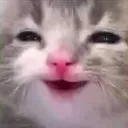 oohsii