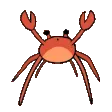 Crab