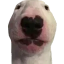 WLwalter
