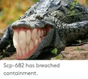 682