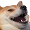dogheh