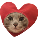 catheart Discord emoji