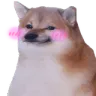 Dog_blushin