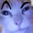 catrizz Discord emoji