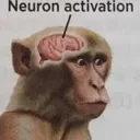 monke