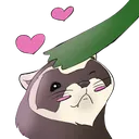 Pats
