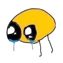 cope