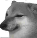 knightkchodoSePareshan