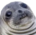 AA_Sealious