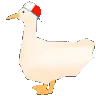 spinning_duck