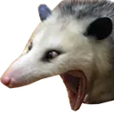 mouw2