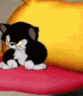 a_angrycat Discord emoji