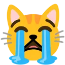 cat_sob