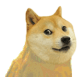 DOGE