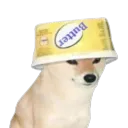 AYS_doggobucket