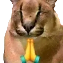 floppa_prayge
