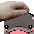 Clodsire_pat